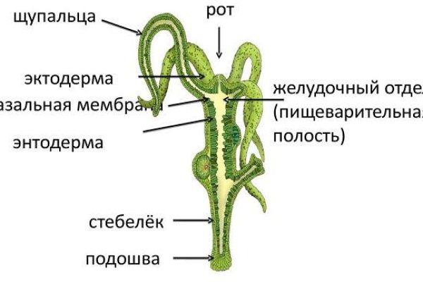 Tor browser даркнет